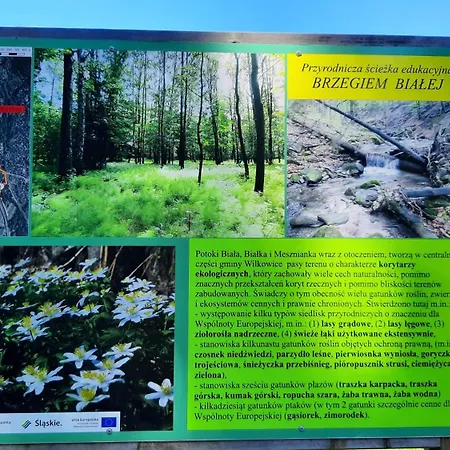 Σπίτι διακοπών Nad Bialka