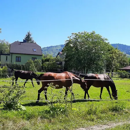Prázdninový dům Nad Bialka *