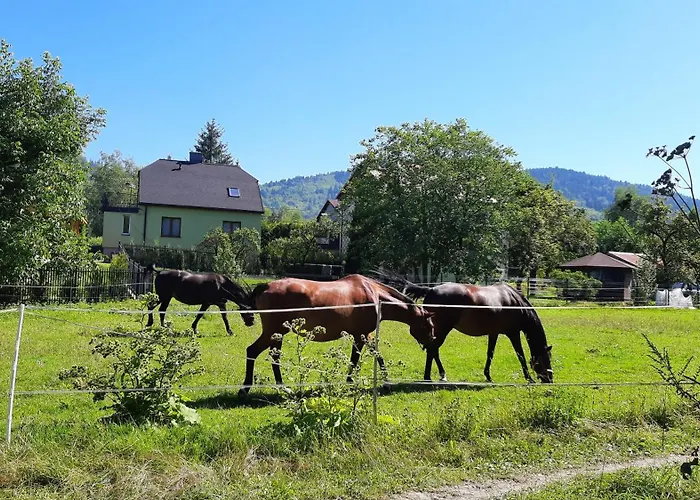 Prázdninový dům Nad Bialka *