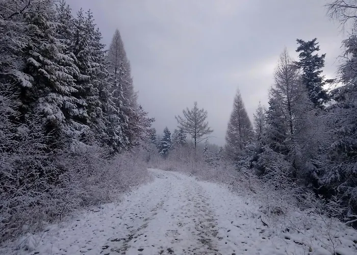 Nad Bialka Prázdninový dům